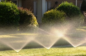 Auto Irrigation inground sprinkler system